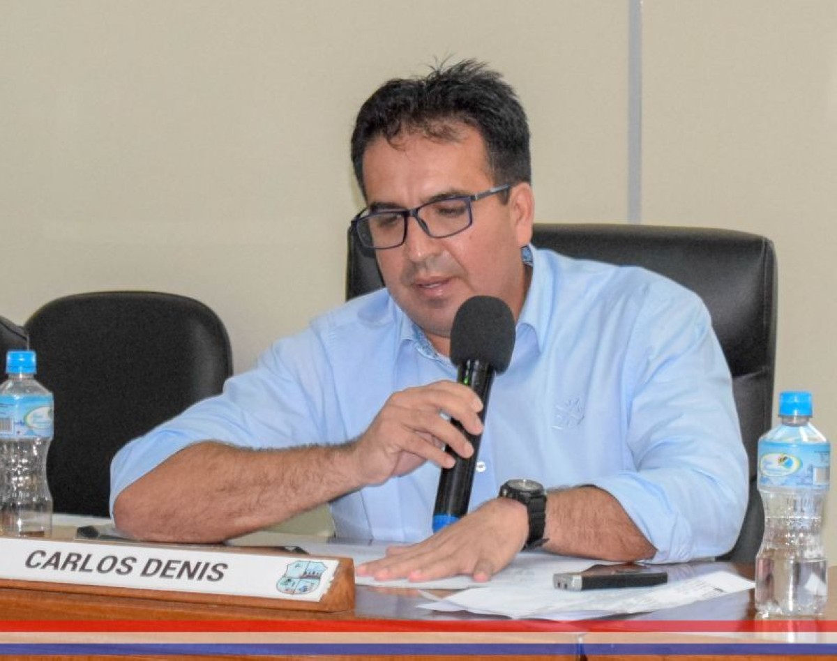 Foto 2 de Solicitan informe al Ejecutivo Municipal sobre presunta tala indiscriminada de árboles en la zona sur de la ciudad