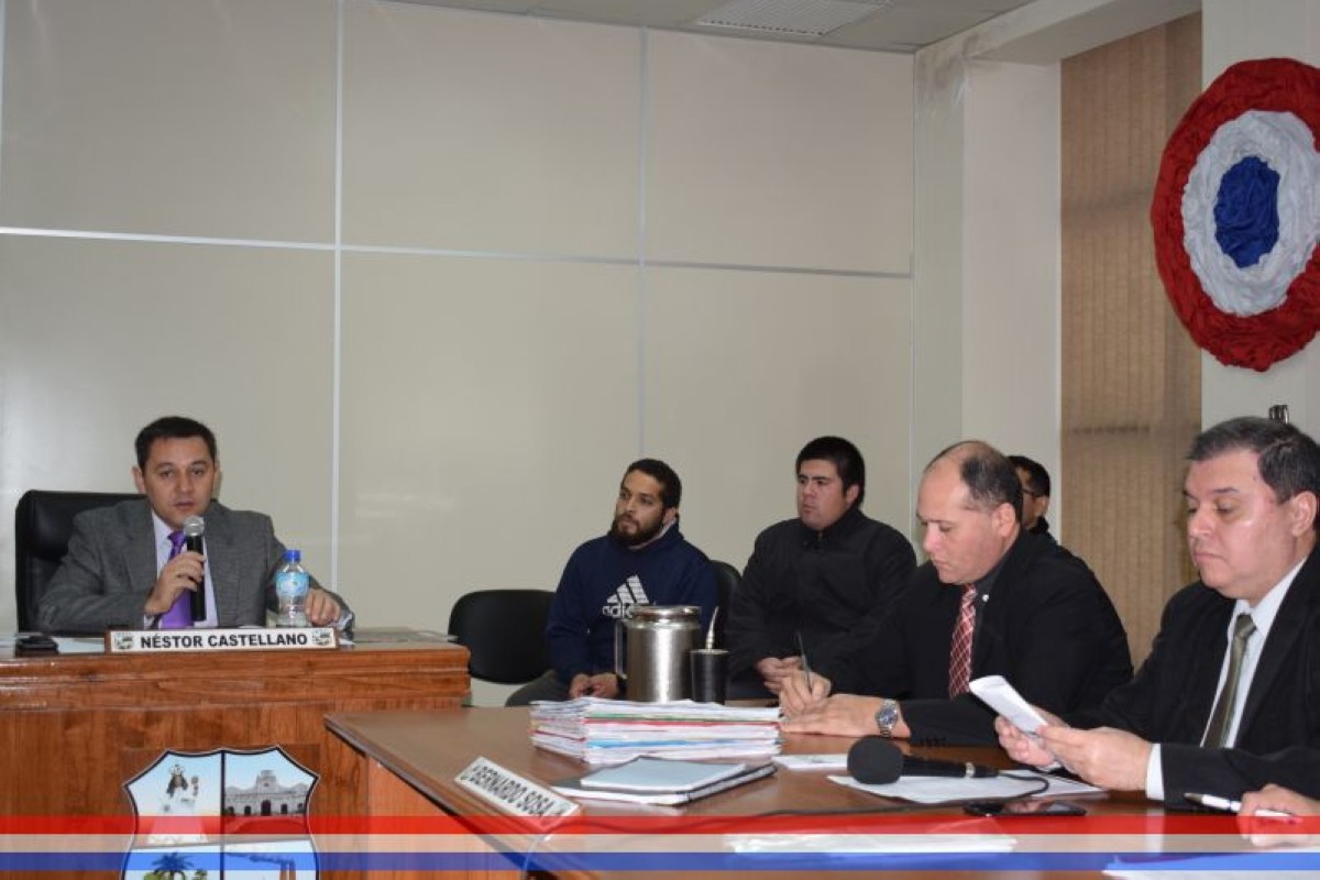 Foto 7 de Declaran de Interés Municipal Ambiental al proyecto de arborización de la Pastoral Juvenil del Paraguay