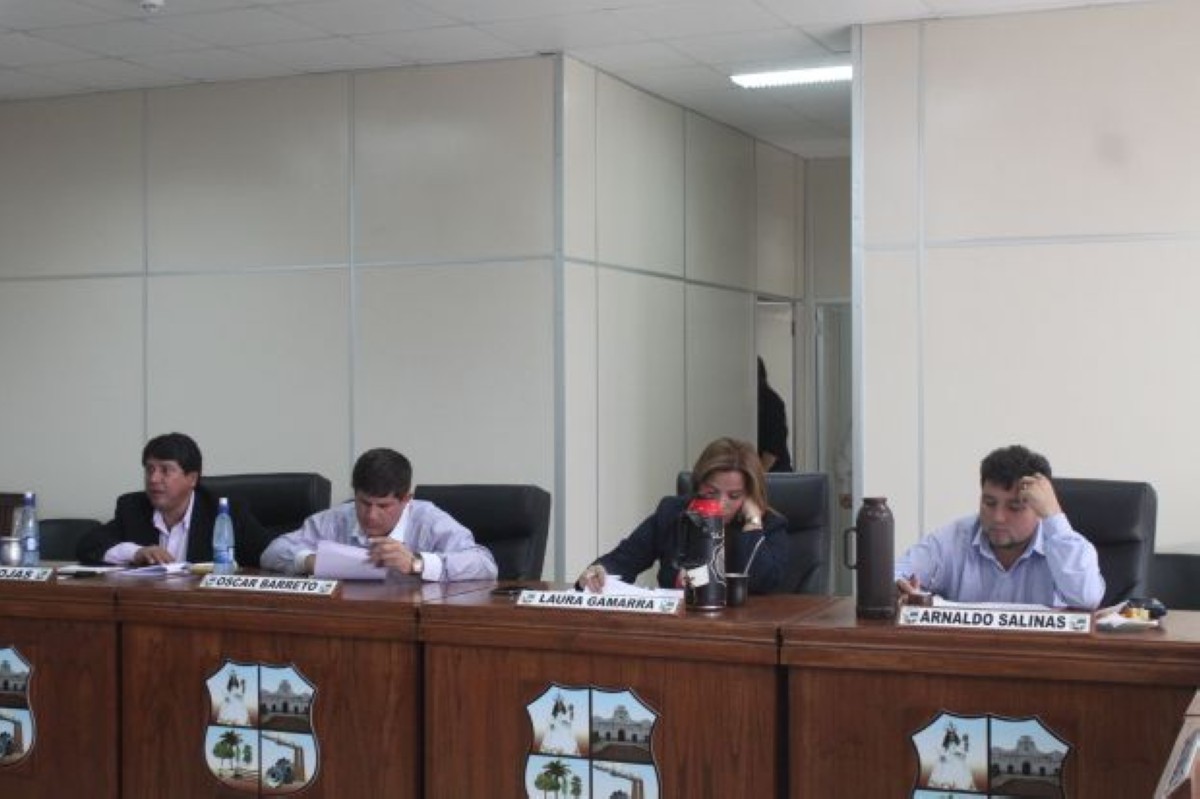 Foto 6 de SESION ORDINARIA DE LA JUNTA MUNICIPAL DE CAPIATA