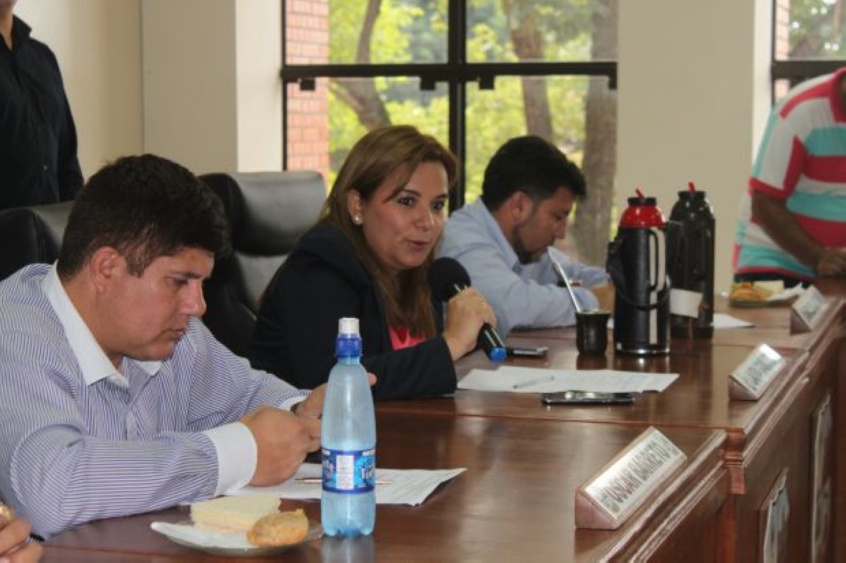 Foto 3 de Aprobaron el Proyecto de Ordenanza que regula el control de la contaminación del aire