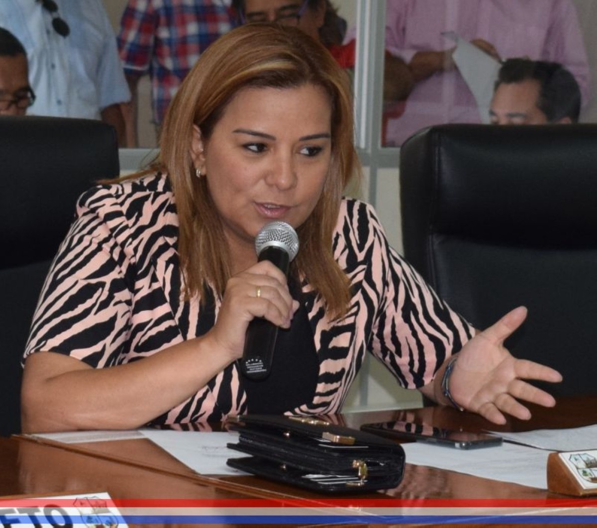 Foto 14 de Aprobaron la adjudicación del “Estudio Técnico y Proyecto Ejecutivo para Teatro Municipal de Capiatá – Plurianual”