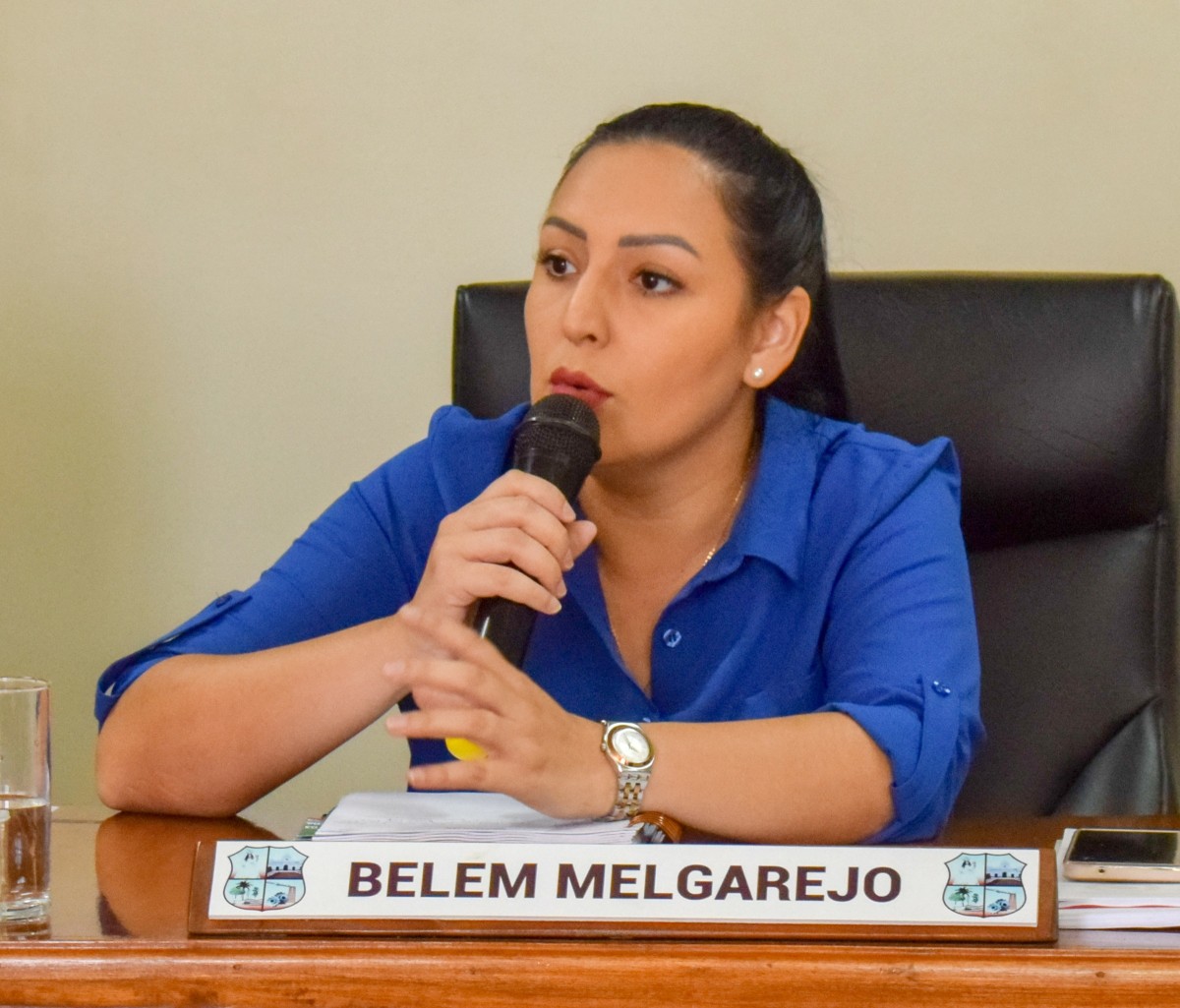 Foto 2 de Solicitan al Ejecutivo Municipal el arreglo de los puentes de la ciudad y la instalación de vallas protectoras en los mismos