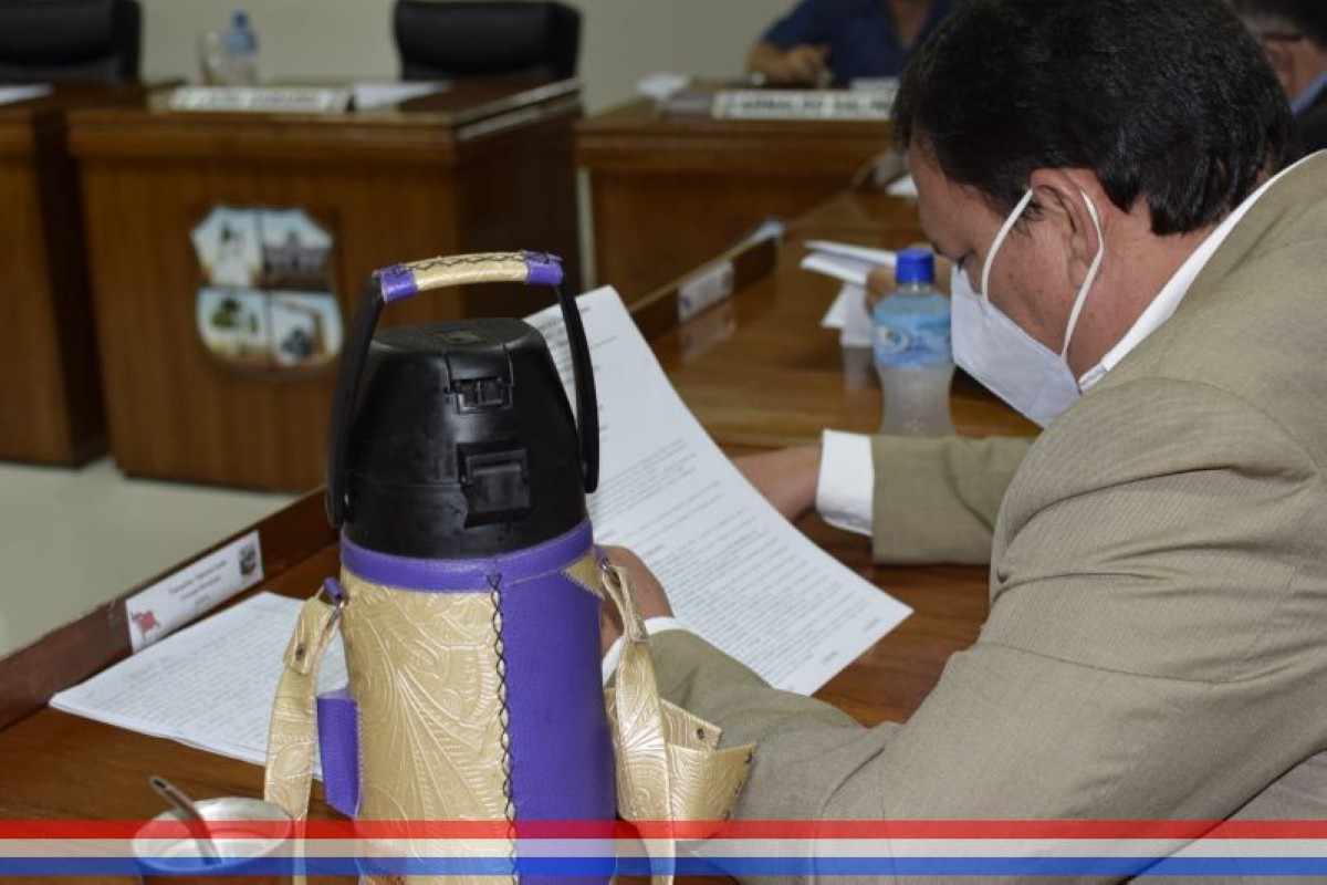 Foto 3 de SESION ORDINARIA DE LA JUNTA MUNICIPAL DE CAPIATA: Notas Recibidas, Notas Remitidas y Expedientes Dictaminados