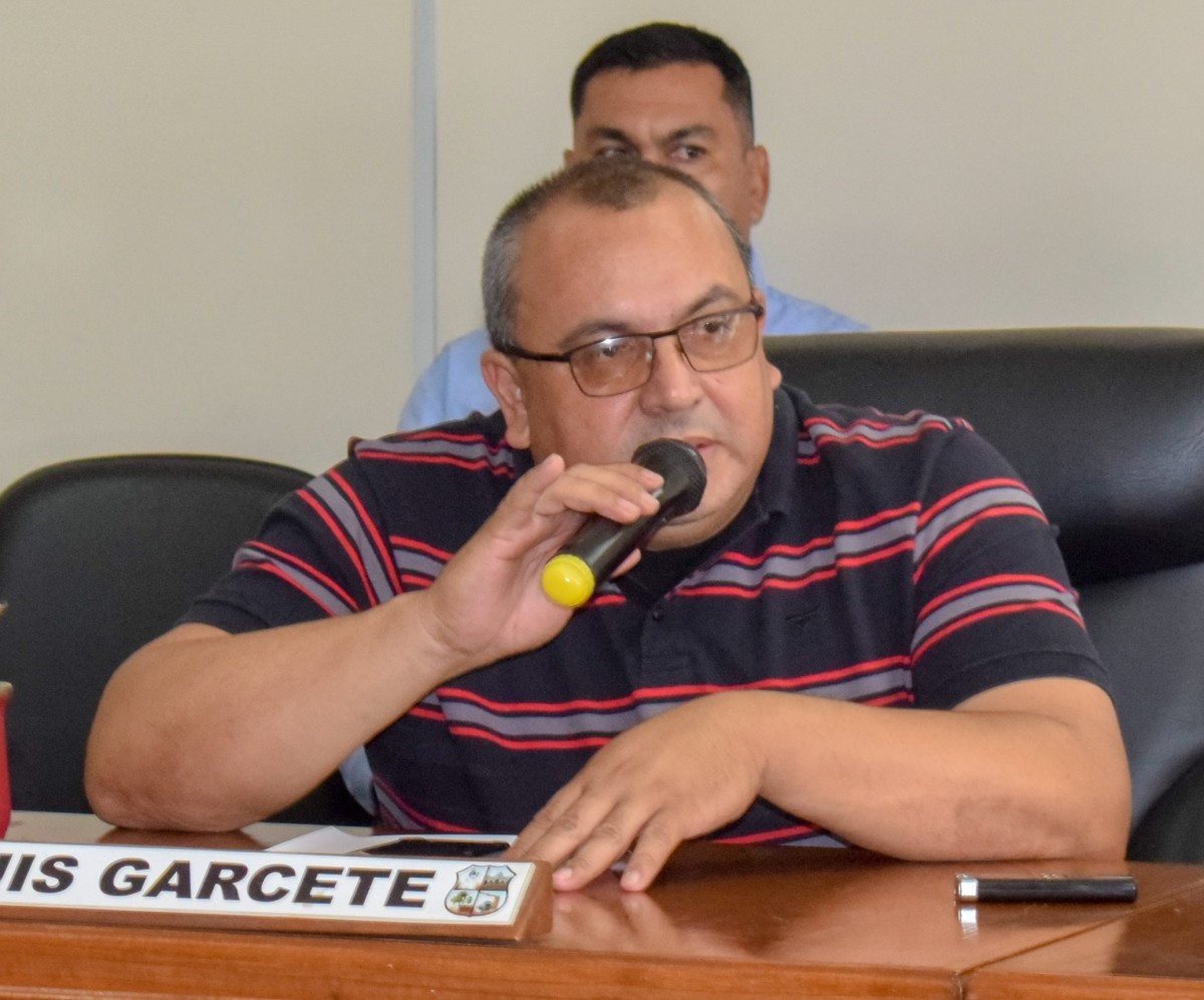 Foto 1 de Solicitan al Ejecutivo Municipal el arreglo de los puentes de la ciudad y la instalación de vallas protectoras en los mismos