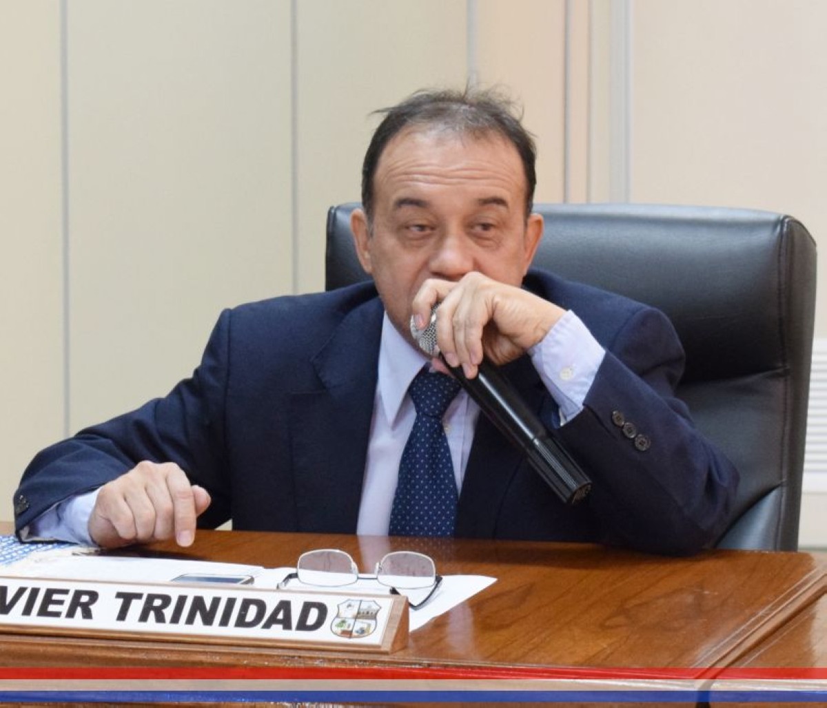 Foto 1 de Concejal Rojas solicita informe a la Dirección de Gestión Ambiental sobre tala de árboles en la zona del Km. 21 ruta I