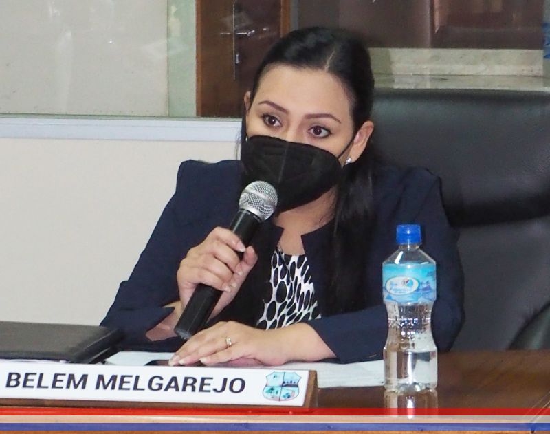 Solicitan instalación de reductores de velocidad sobre las calles San Pedro y Ombú, respectivamente