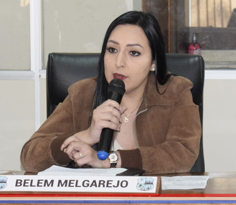 Solicitan informe al Ejecutivo Municipal sobre inmueble presumiblemente municipal ubicado en la zona sur