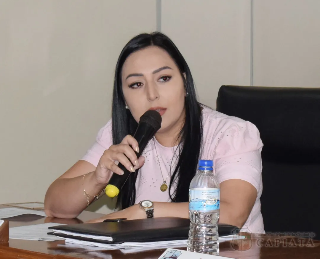 Concejala Melgarejo solicita al Ejecutivo Municipal la instalación de reductores de velocidad sobre la calle Boquerón y España, zona sur de la ciudad