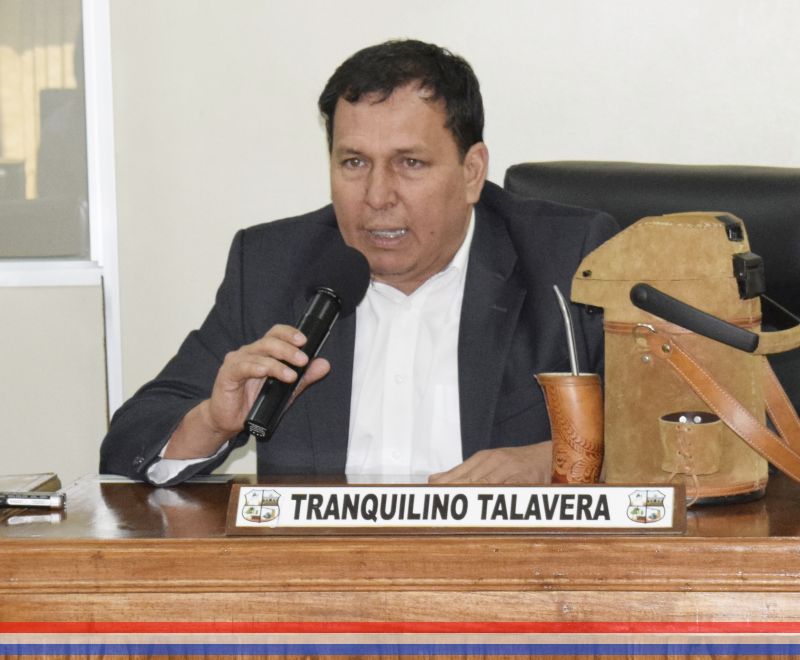 Concejal Talavera solicita a la presidencia de la Junta Municipal elevar un pedido de informe al Ejecutivo Municipal sobre reductores de velocidad