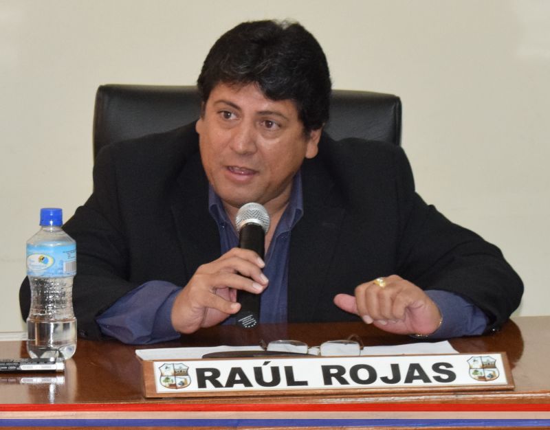 Concejal Rojas solicita informe a la Dirección de Gestión Ambiental sobre tala de árboles en la zona del Km. 21 ruta I