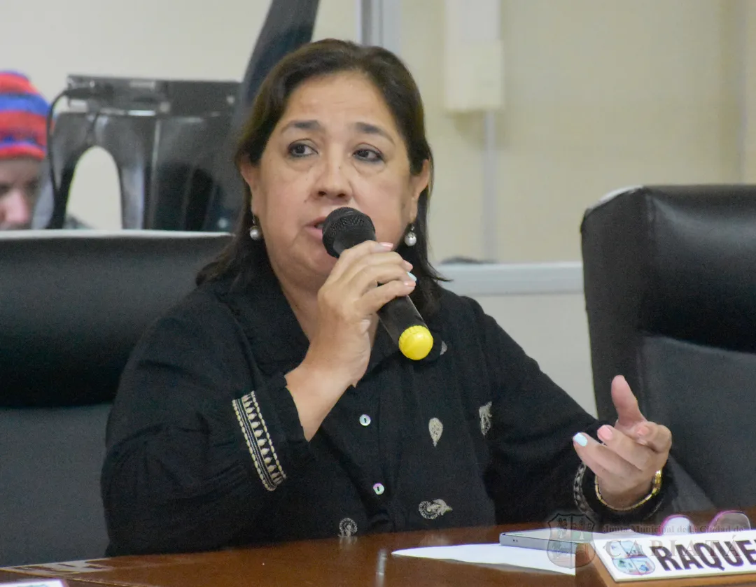 Concejales reiteran solicitud de habilitar nuevamente el doble estacionamiento sobre la calle cercana al HDC