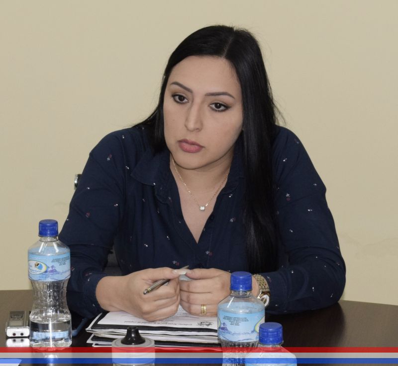 Concejala Melgarejo reitera solicitud de verificación de todos los puentes de nuestra ciudad