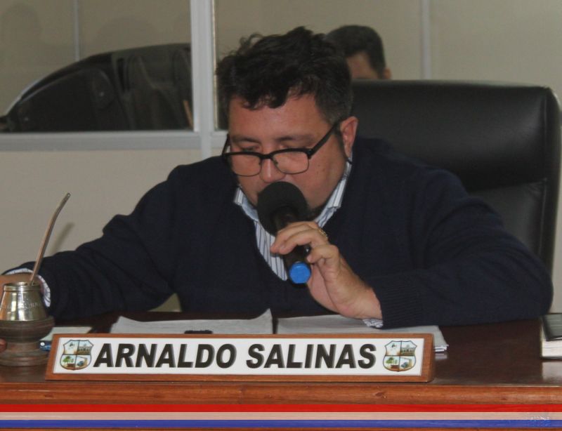 Solicitan informe a la empresa de transporte Lince S.R.L – Línea 52 sobre cantidad de unidades y frecuencias