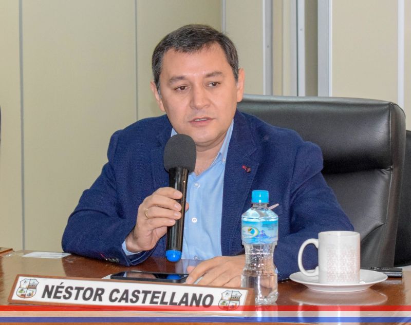 Solicitan informe al Ejecutivo Municipal sobre presunta tala indiscriminada de árboles en la zona sur de la ciudad