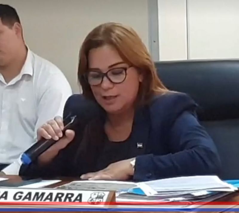 Concejales corroboraron la falta de retiro de ramas de árboles y restos de malezas en local escolar