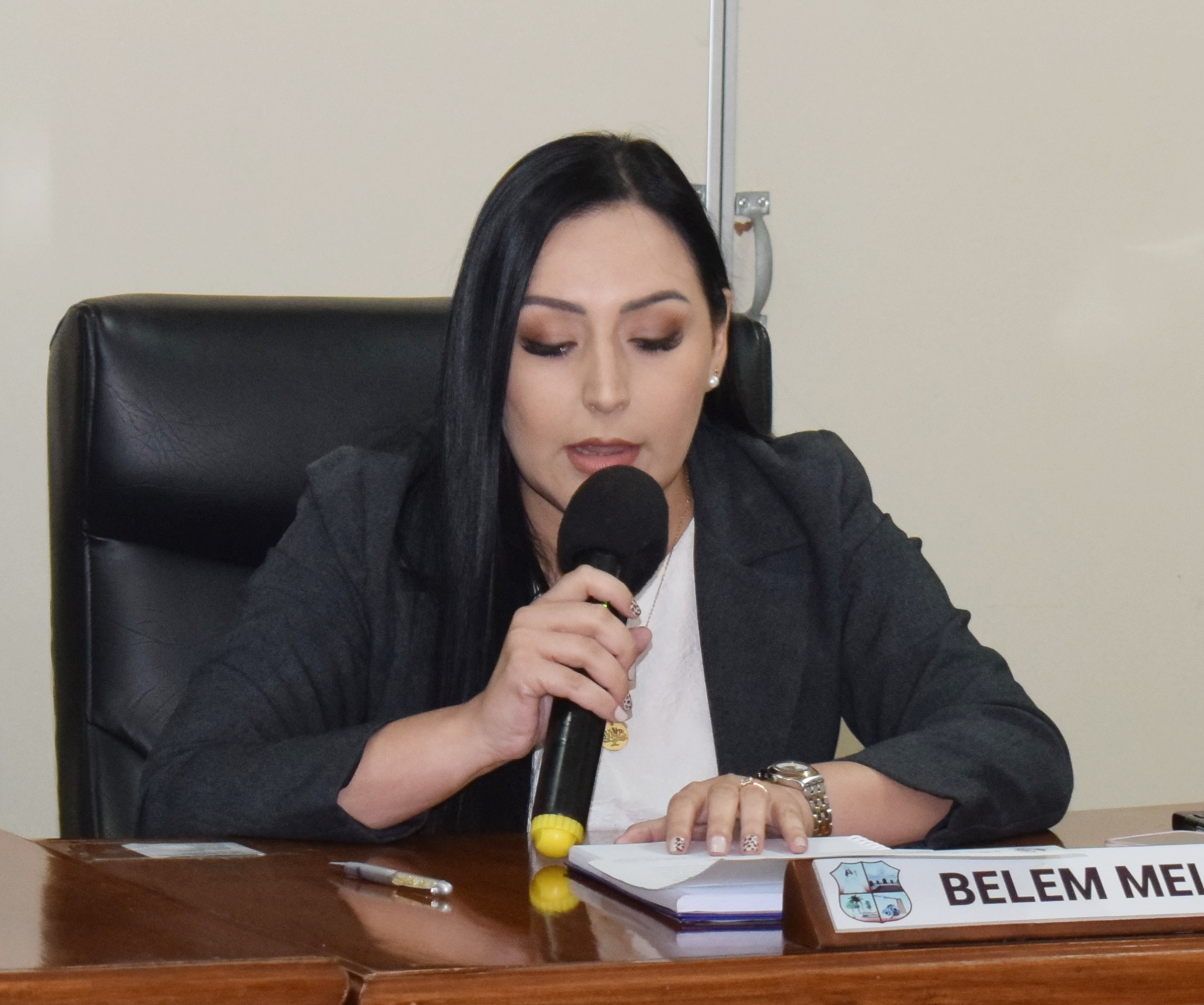 Concejala Melgarejo reitera solicitud de verificación y reparación del puente ubicado detrás del Instituto Gral. José Eduvigis Díaz