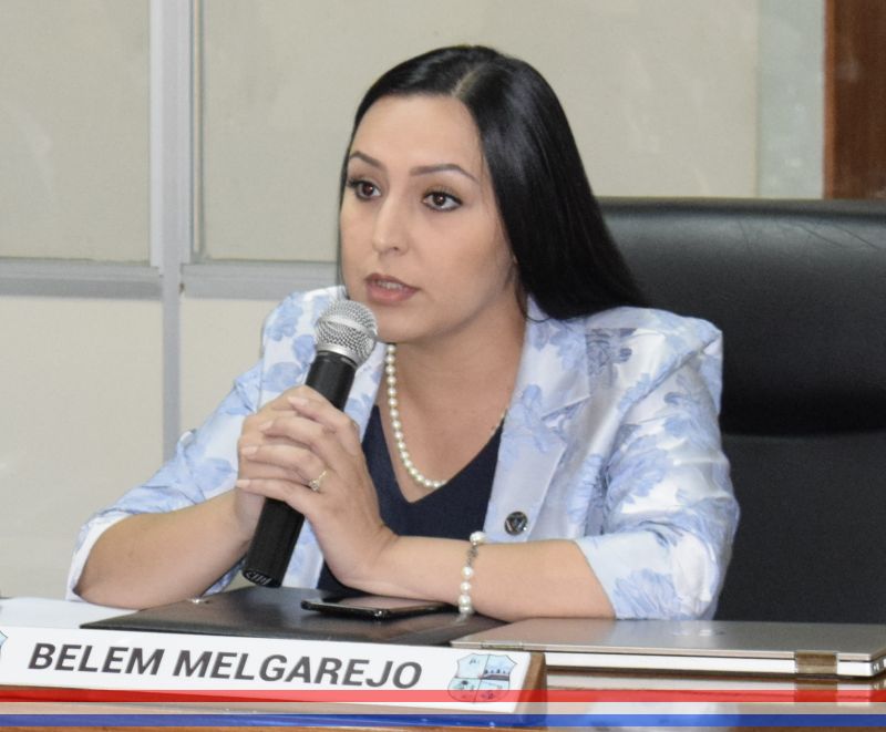 Declaran de Interés Municipal la campaña de concienciación "Más luces, menos ruido"