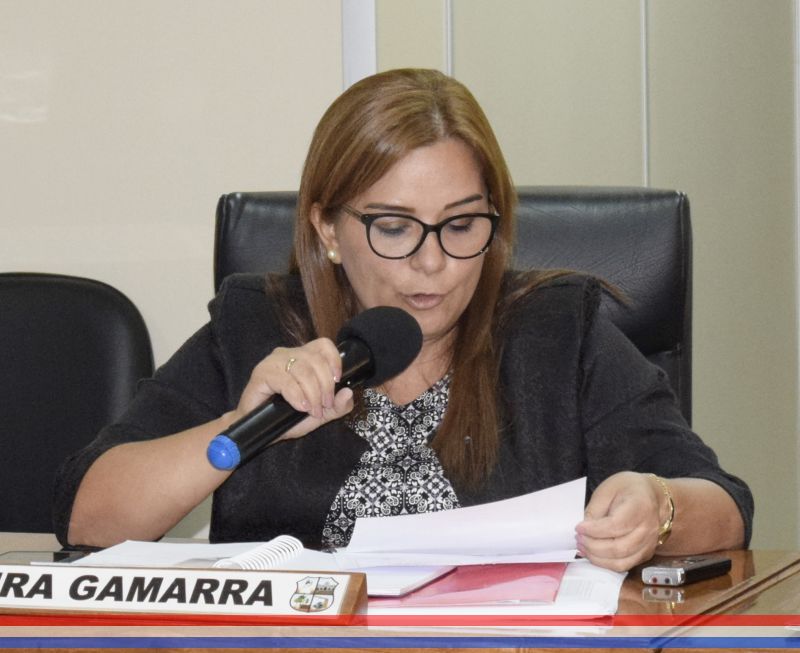 Solicitan informe detallado sobre los costos de organización de los festejos patronales años 2020 y 2023