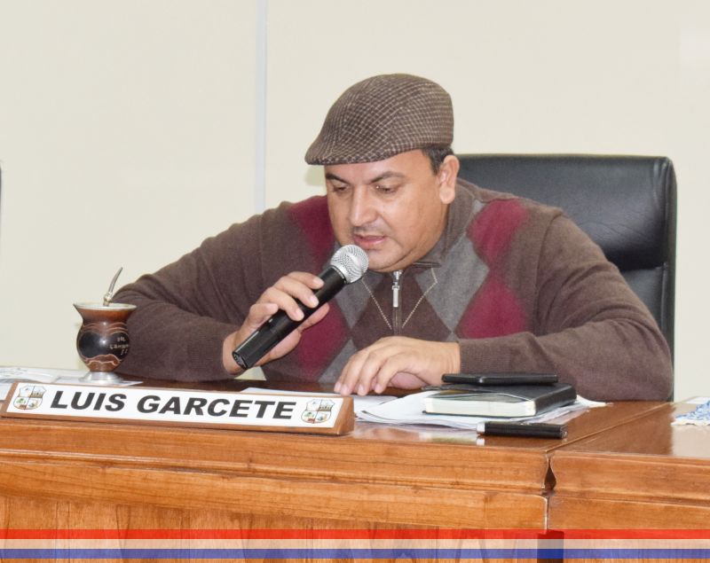 Solicitarán a la ANDE y a la empresa encargada de la poda de árboles el retiro de las ramas y hojas de las calles