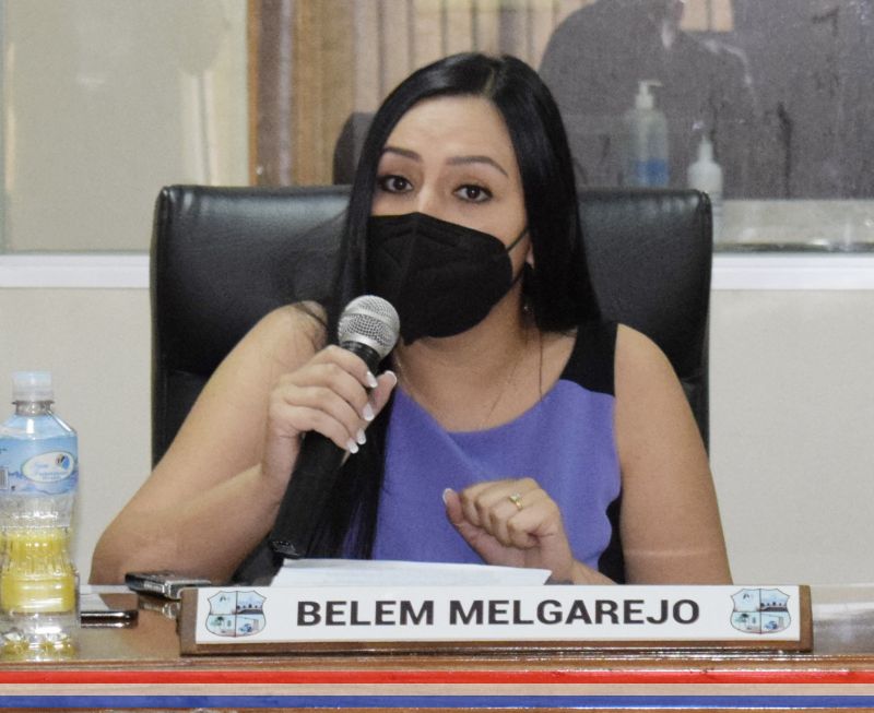 Comisiones Asesoras de Legislación y de Defensa del Consumidor estudiarán proyecto de Ordenanza que busca mejorar el combate contra incendios