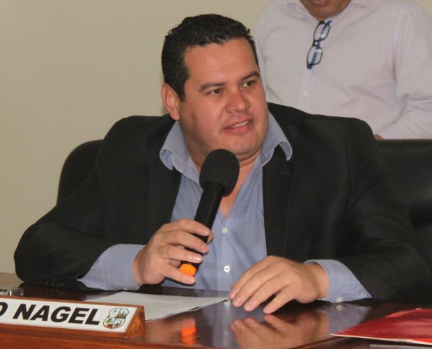 Concejal Nagel pide informe sobre la situación de una estación de servicio ubicada sobre la Avda. López Godoy