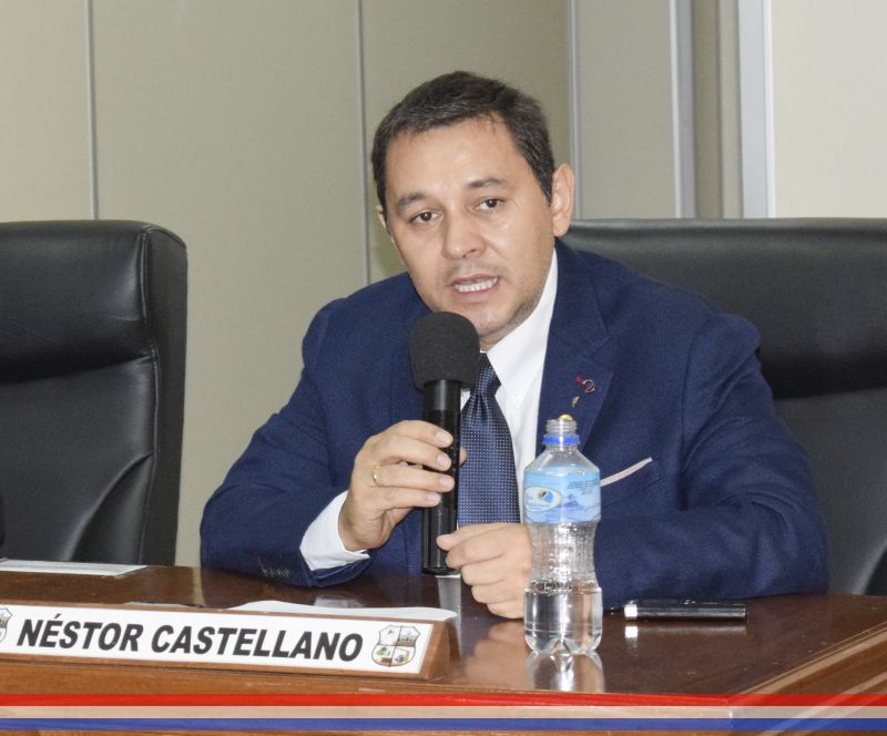 Concejal Castellano pide que se notifique a Sumidenso S.R.L y al MIC para que realicen una limpieza de su terreno