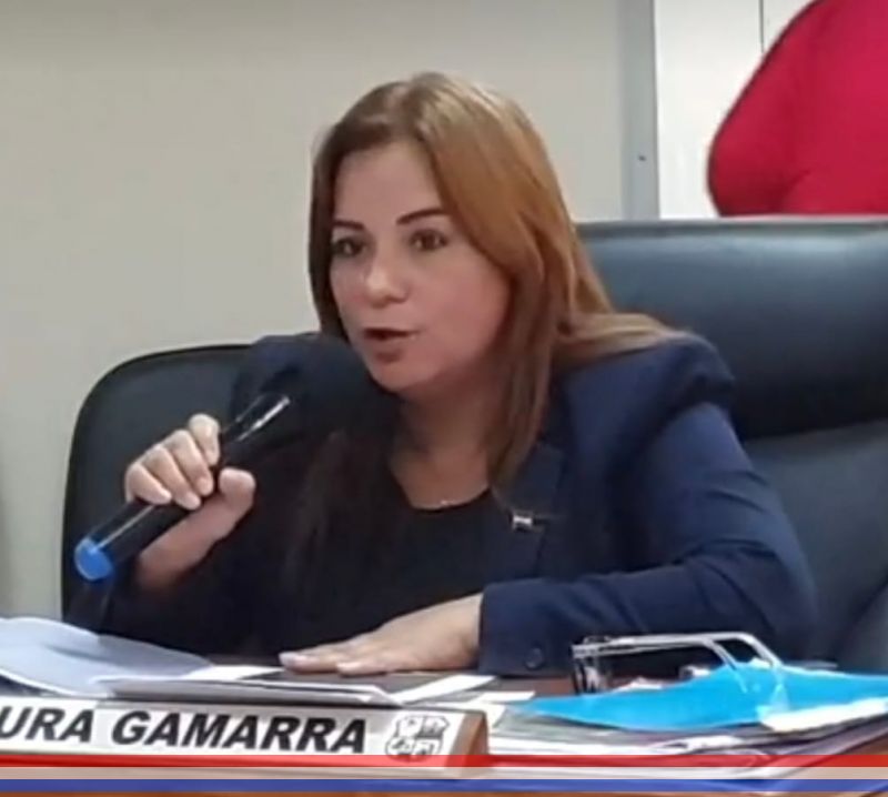 Solicitan el derribo de un árbol y su retiro del local de la escuela Enrique Soler por generar una situación peligrosa