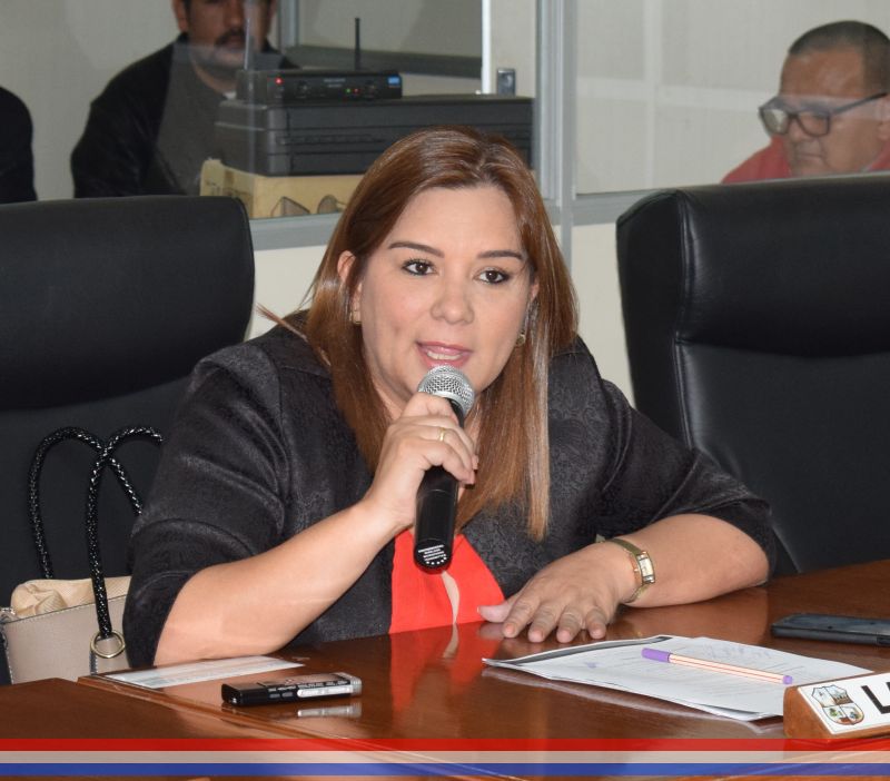 Concejala Laura Gamarra solicita la colocación de reductores de velocidad en peligroso cruce ubicado en el microcentro de la ciudad
